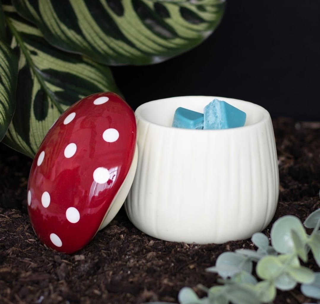 🍄 Duftlampe Fliegenpilz 🍄